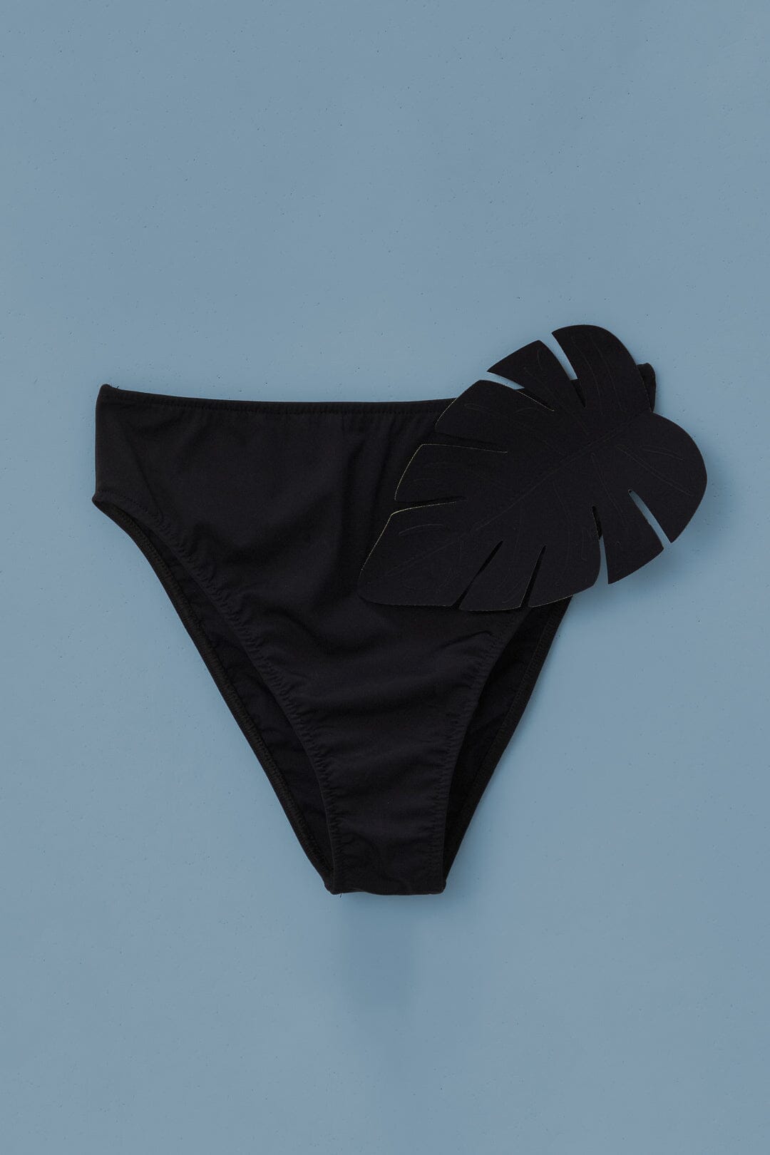 Black Bikini Bottom
