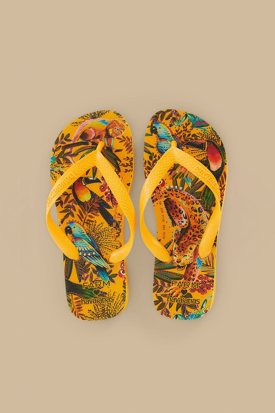 Into The Jungle Havaianas