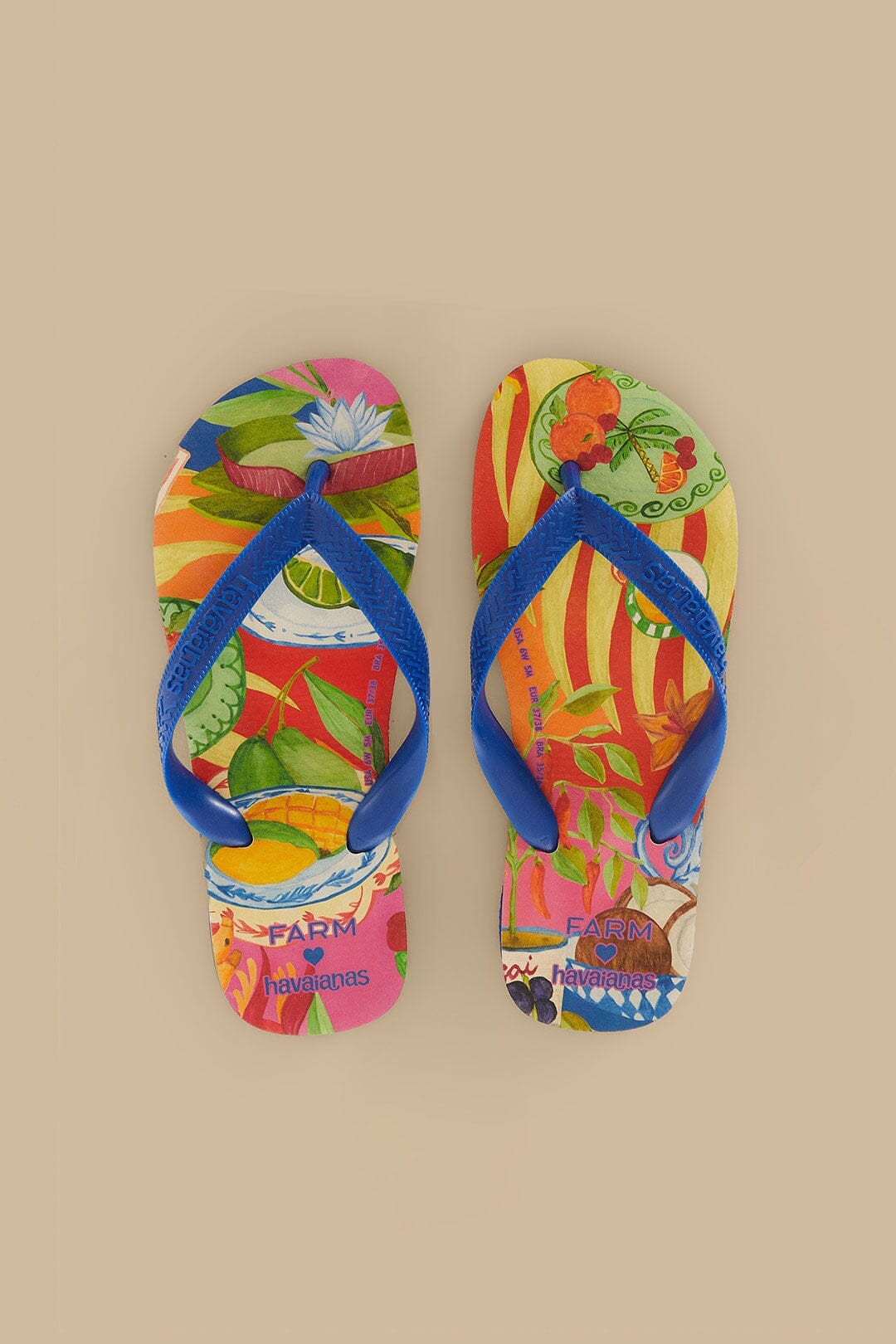 Multicolor Summer Picnic Havaianas