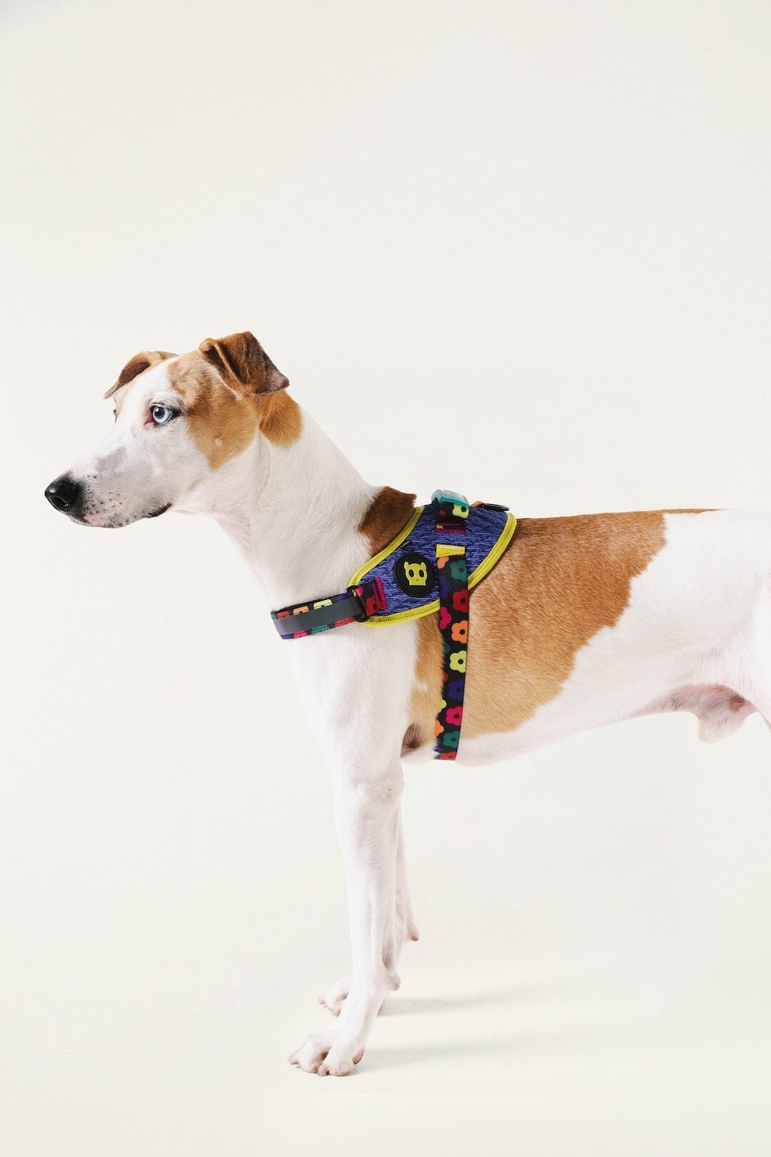 Zeedog Farm Samba Flyharness - Size 2