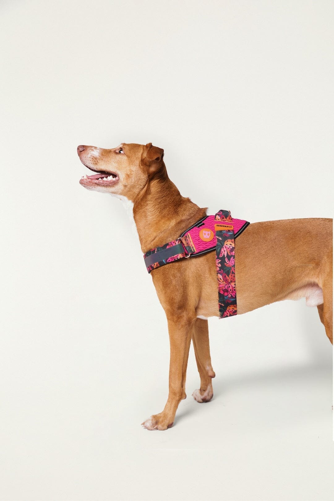 Zeedog Farm Onca Flyharness - Size 4
