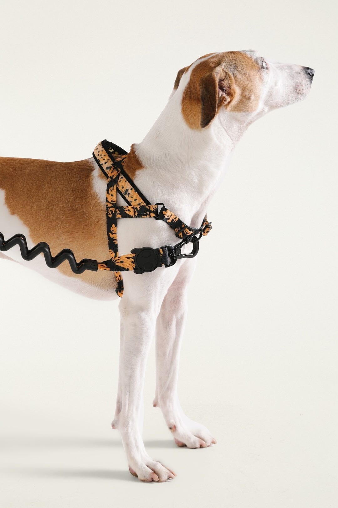 Zeedog Farm Bananas Softer Walk - Size S