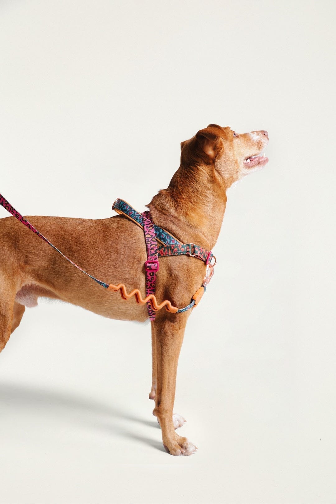 Zeedog Farm Onca Softer Walk - Size L