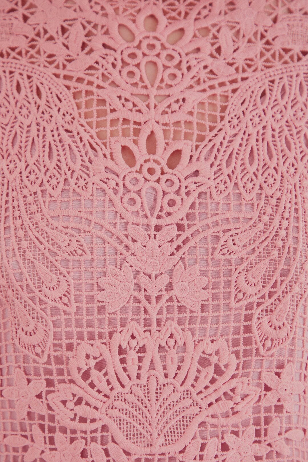 Blush Pink Guipure Long Sleeve Blouse