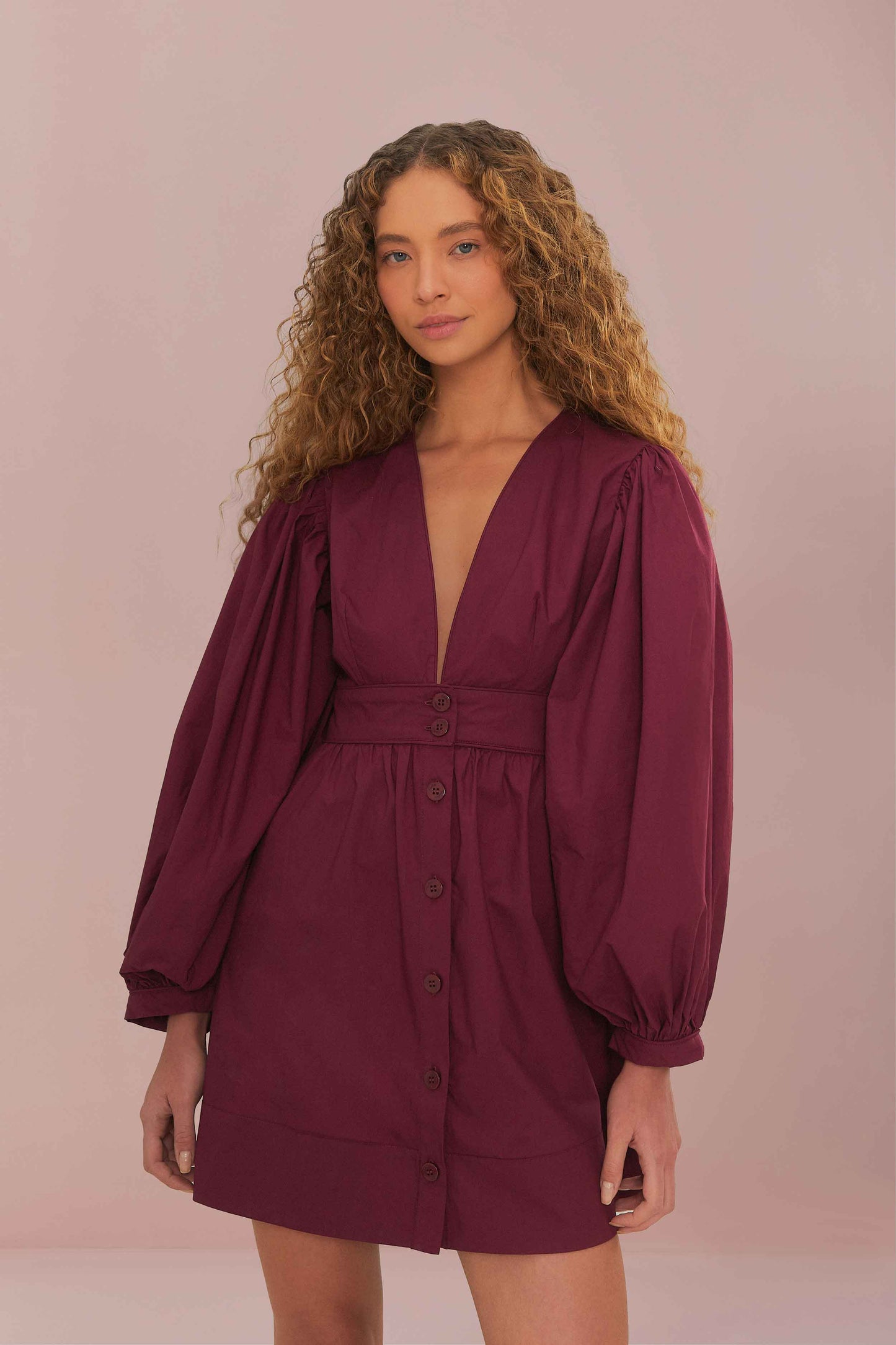 Burgundy Puff Sleeve Mini Dress