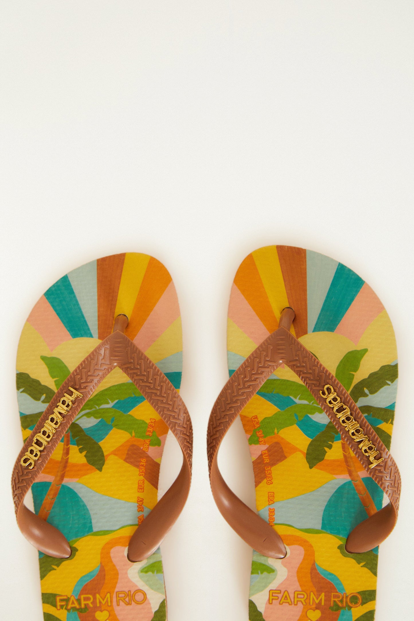 Multicolor Carioca Landscape Havaianas