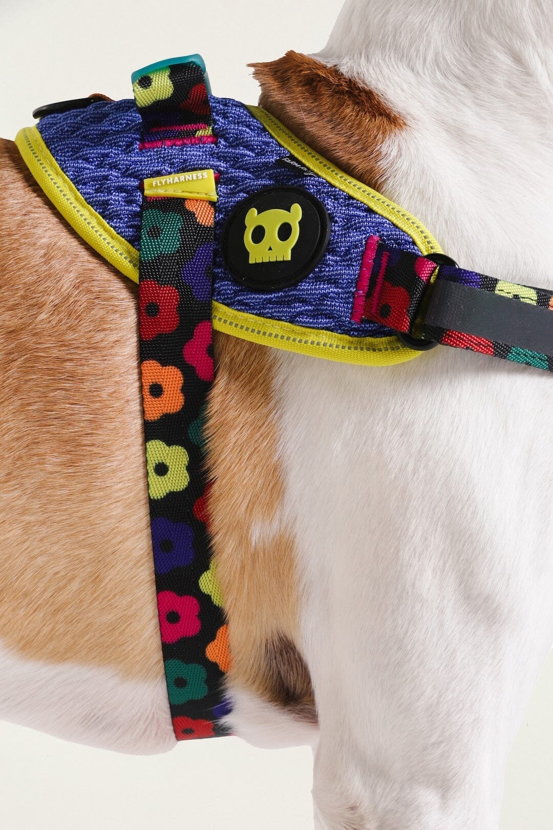Zeedog Farm Samba Flyharness - Size 3