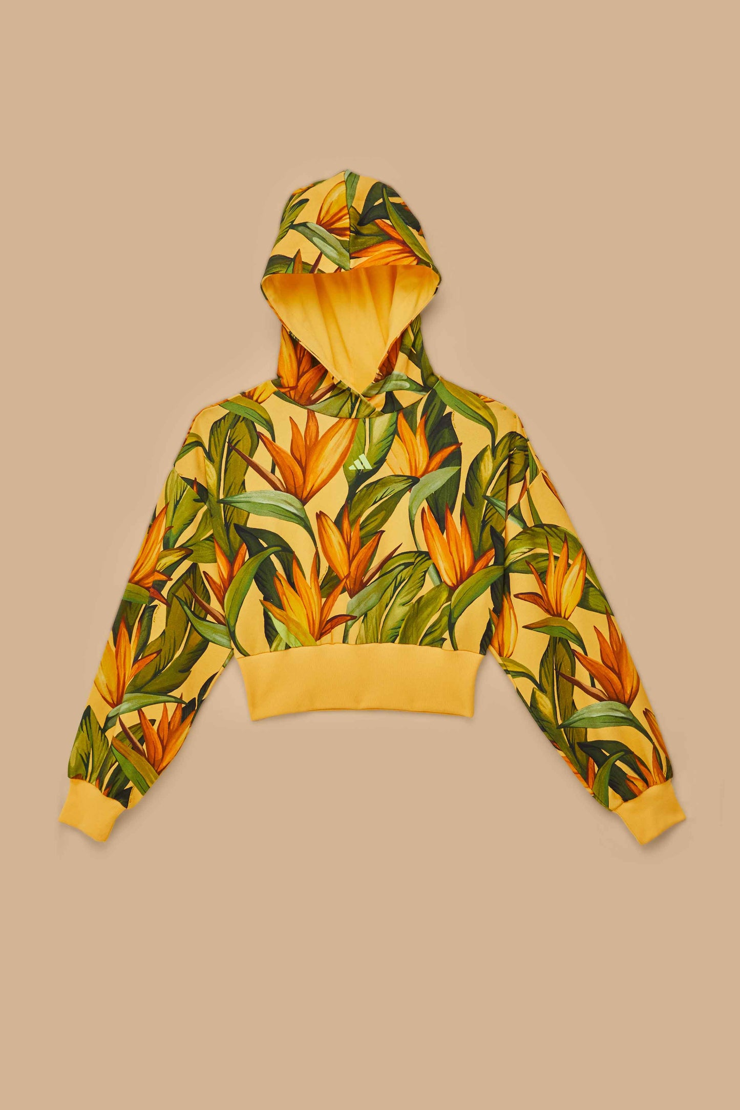 Adidas Birds Of Paradise Semi Spark Jacket